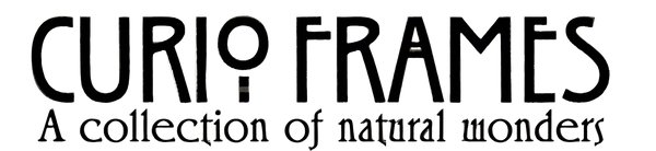 Curio Frames