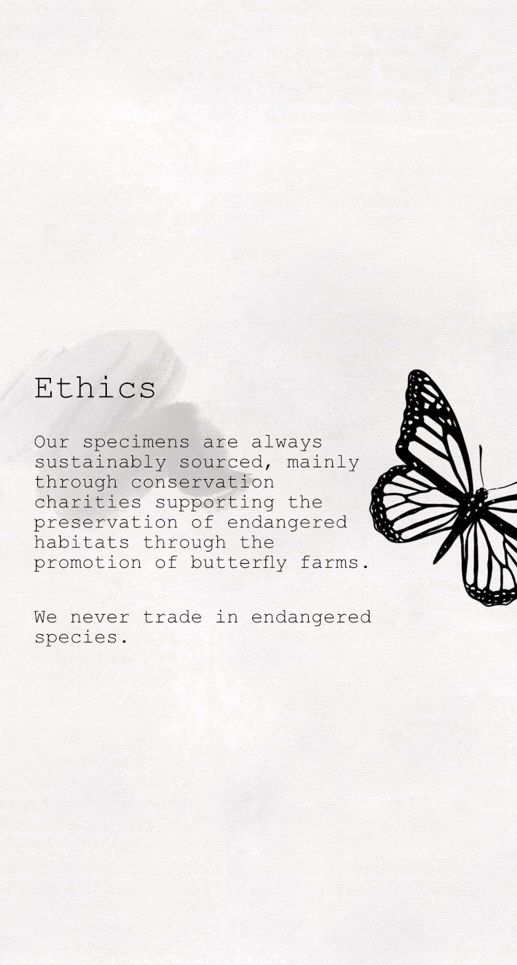 Slider_Mobile_-_Ethics_3bcfea6a-ad6e-4d6d-af5f-96efd0f22220