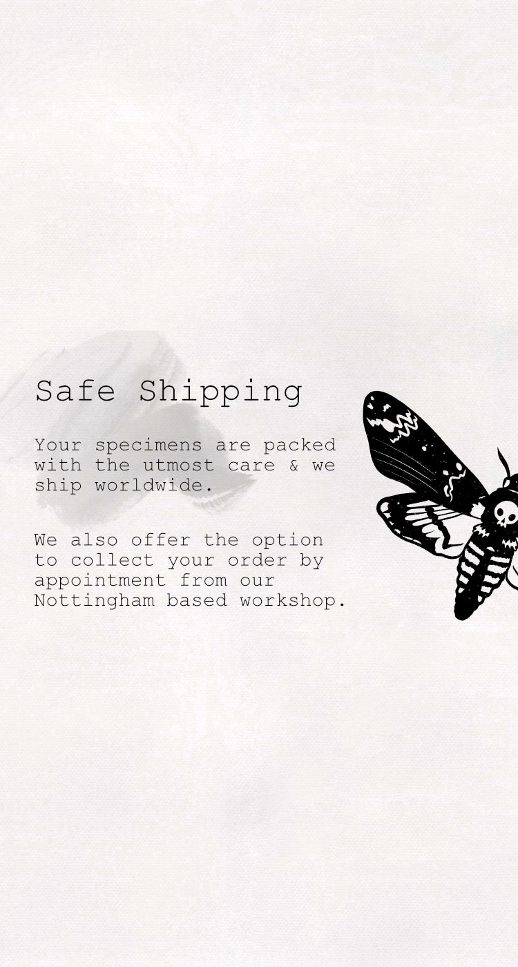 Slider_Mobile_-_Shipping