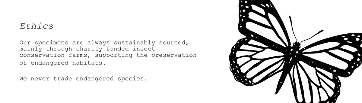 Website_Slide_1_bd8d8a66-f5be-440c-90fc-9794bb1e82cd