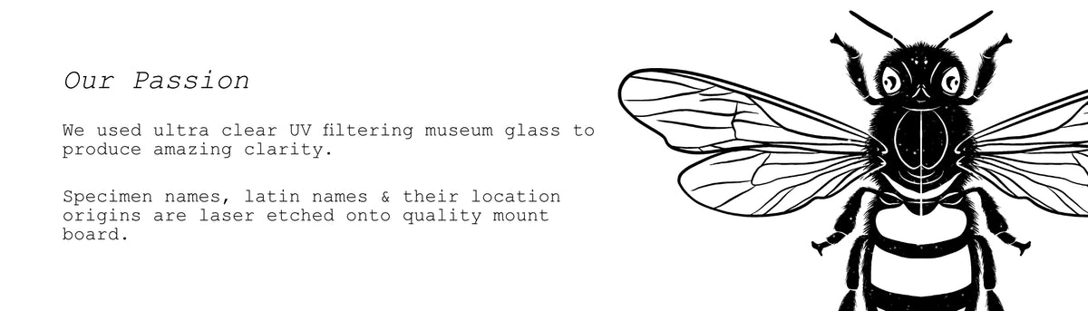 Website_Slide_3