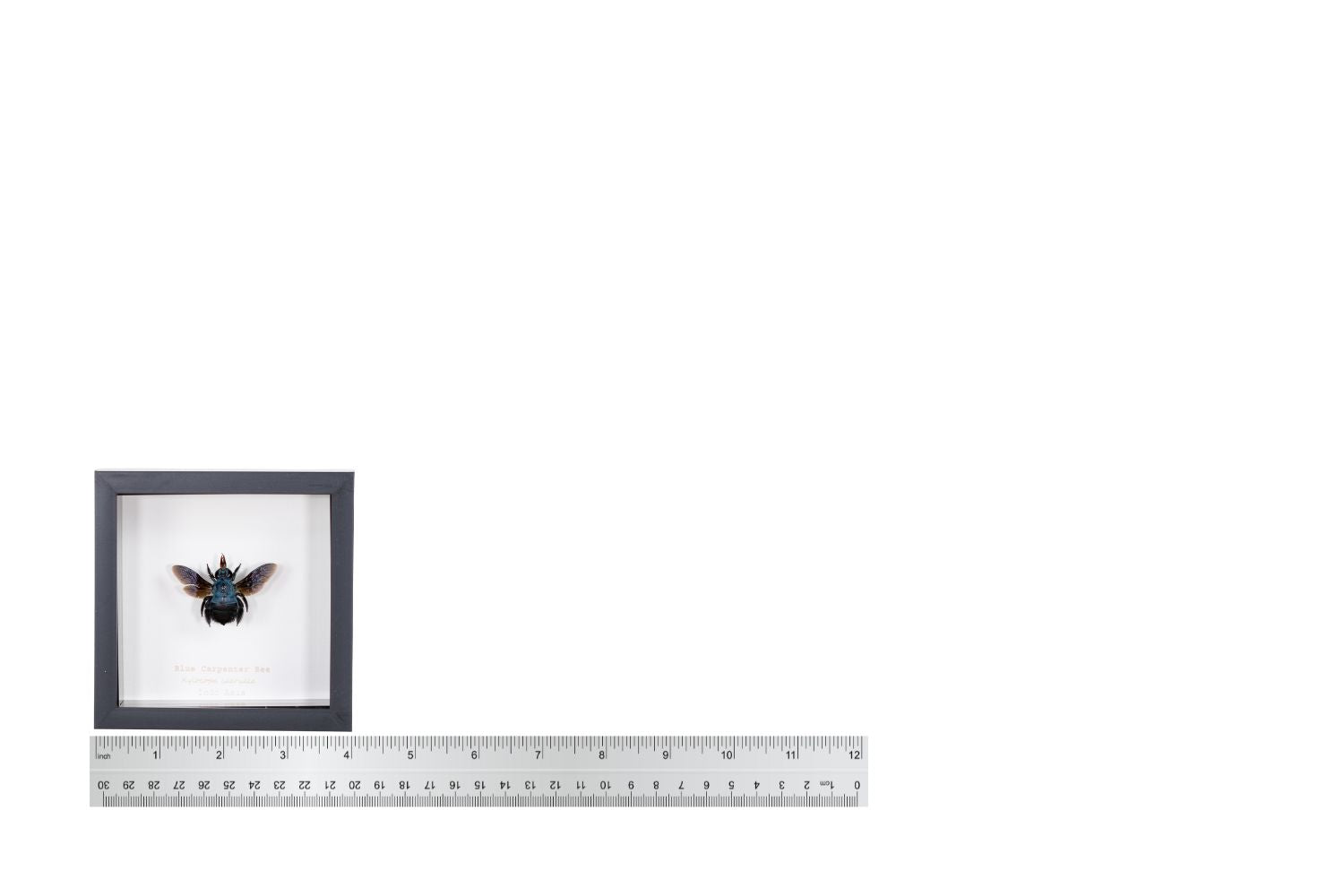 1_51c493d4-ff46-4c98-8df2-3195d6aa9549