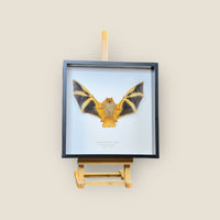 Painted Woolly Bat image 0