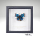 Brilliant Blue