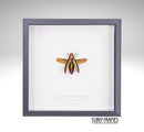 Green Jewel Beetle