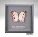 Mother of Pearl Butterfly