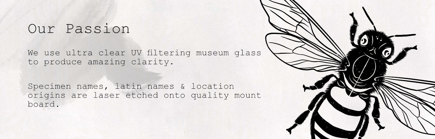 Slider_-_Our_Passion_Smudge