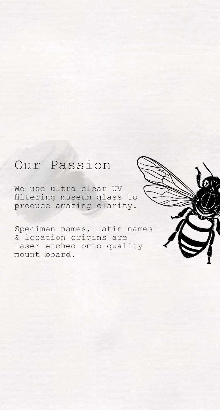 Slider_Mobile_-_Passion