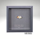 Spice Finch Skull