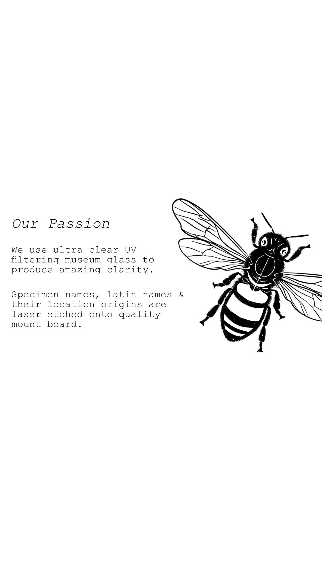 Website_Mobile_Slide_3