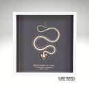 White Lipped Pit Viper Skeleton (8)